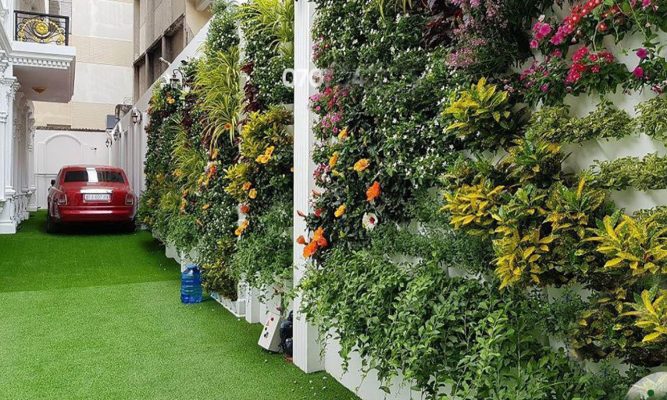 Thie Ke Tuong Cay Xanh03