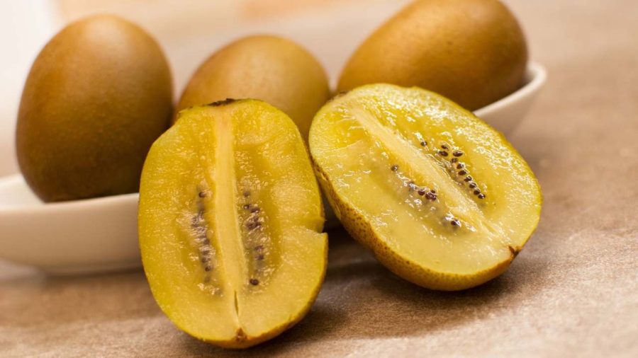 Kiwi Vang Zespri Sungold 2