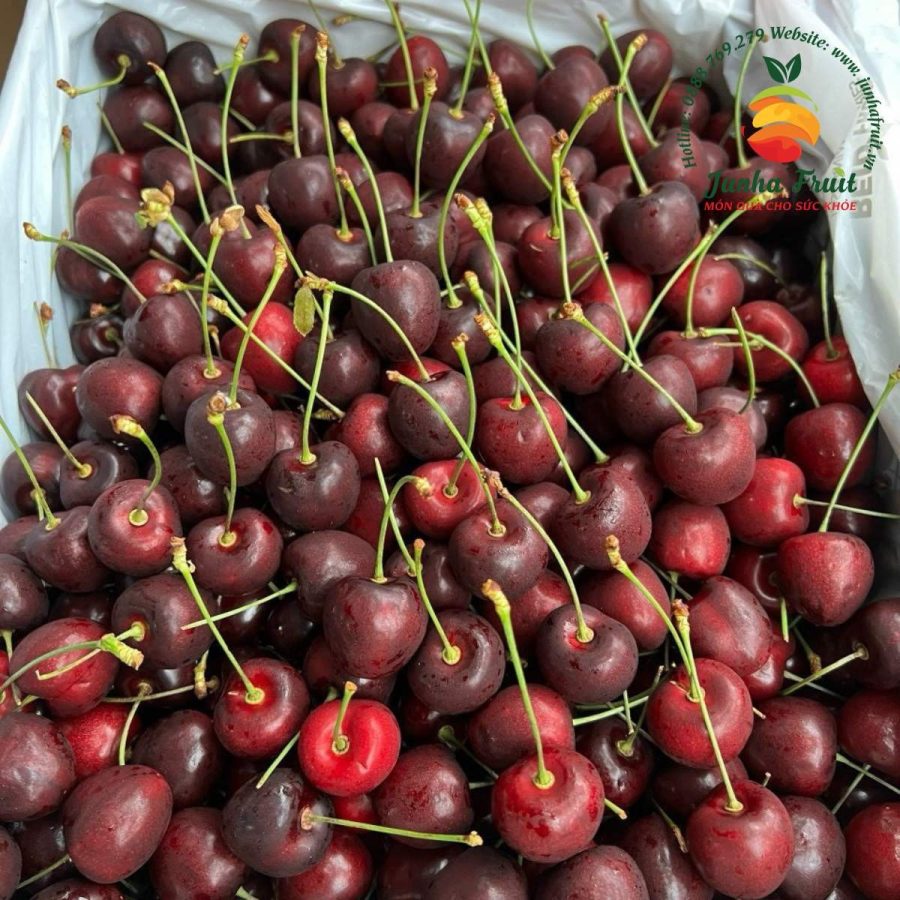 Cherry Uc Tasmania